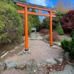 Goryu Japanese Garden Image -645fff441096a