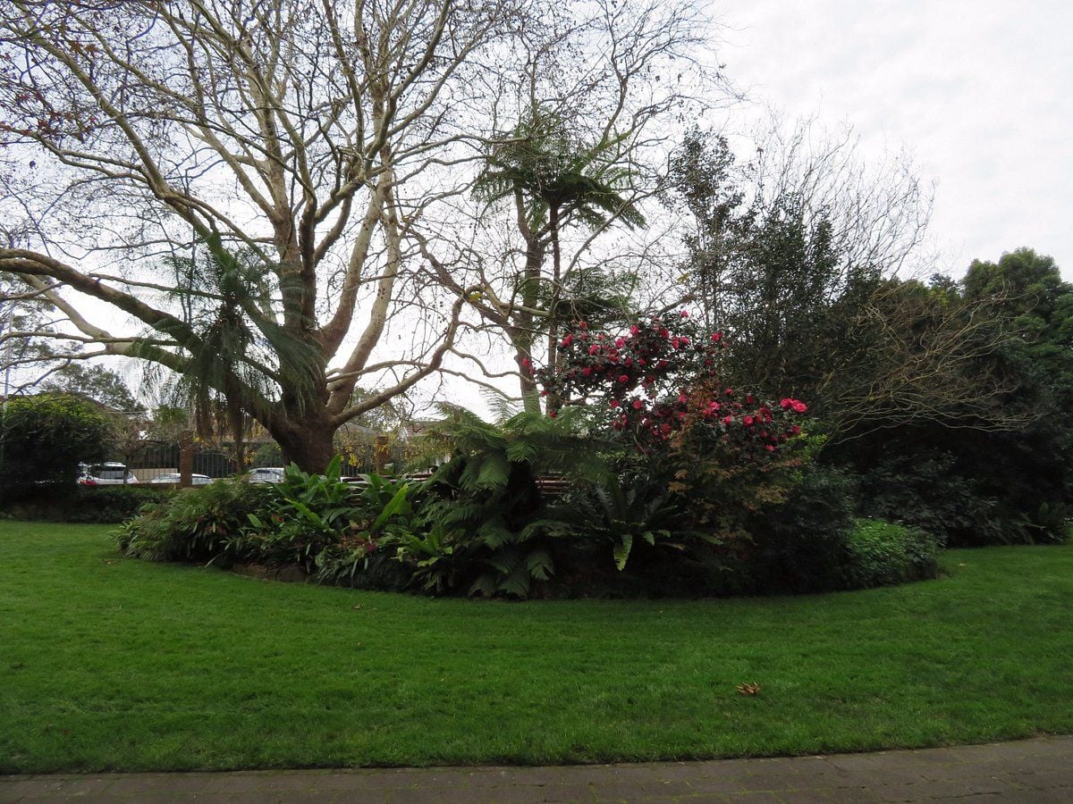 The E. G. Waterhouse National Camellia Gardens High Tea Lunch The E. G. Waterhouse National Camellia Gardens High Tea Lunch