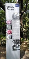 The E. G. Waterhouse National Camellia Gardens High Tea Lunch Image -648ce242ee822