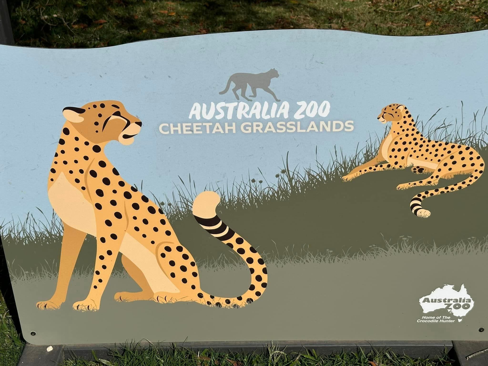 Australia Zoo - Chasing the Sun Tour 2023 Image -64d958342c026
