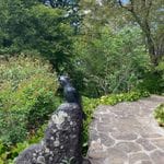 Mount Tomah Botanic Gardens October 2023 Tour Image -652b163f31221