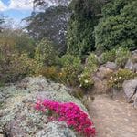 Mount Tomah Botanic Gardens October 2023 Tour Image -652b16447f96d