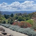 Mount Tomah Botanic Gardens October 2023 Tour Image -652b1645a39bd