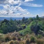 Mount Tomah Botanic Gardens October 2023 Tour Image -652b16471f37d