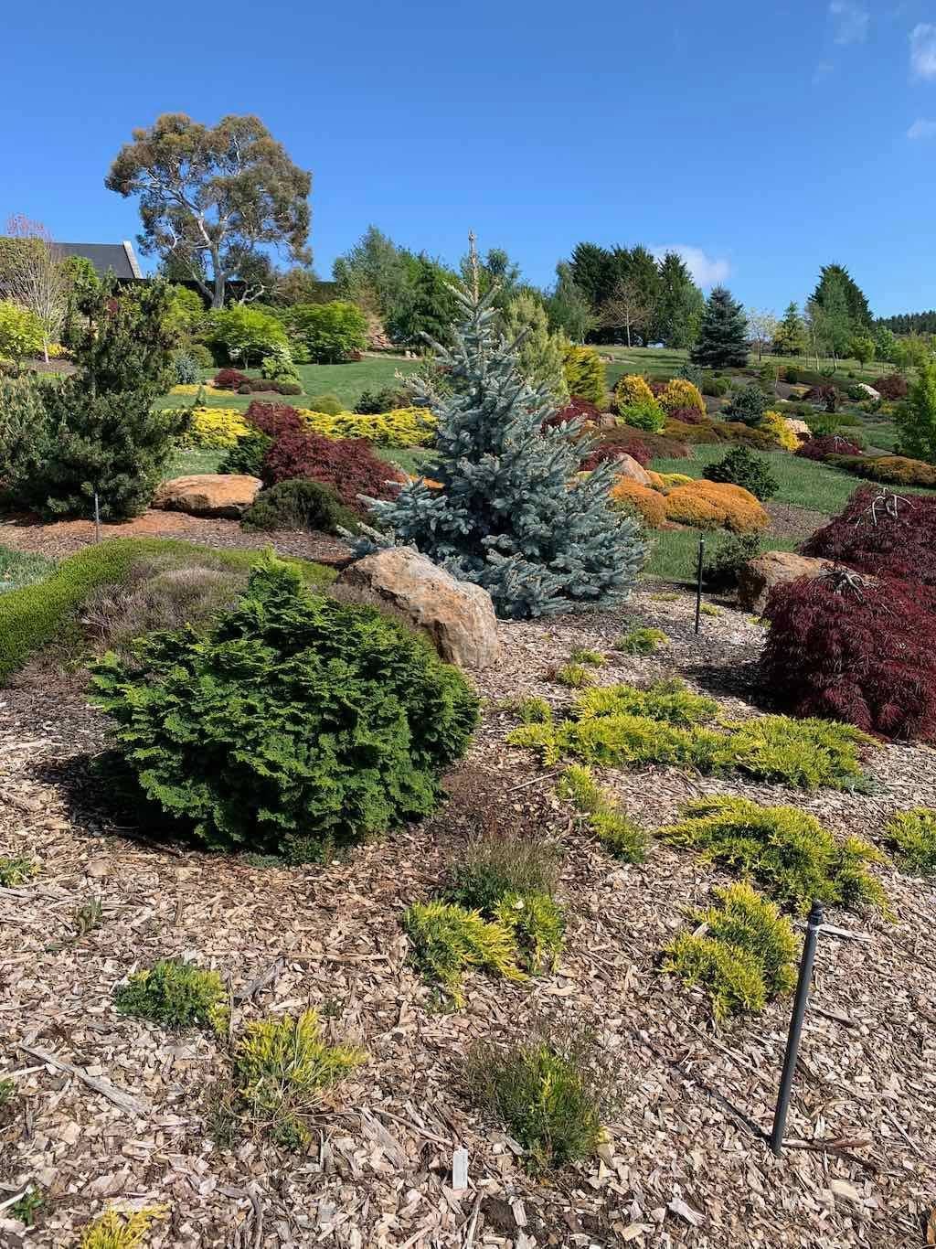 Connect Coaches Mayfield Garden Tour 2025