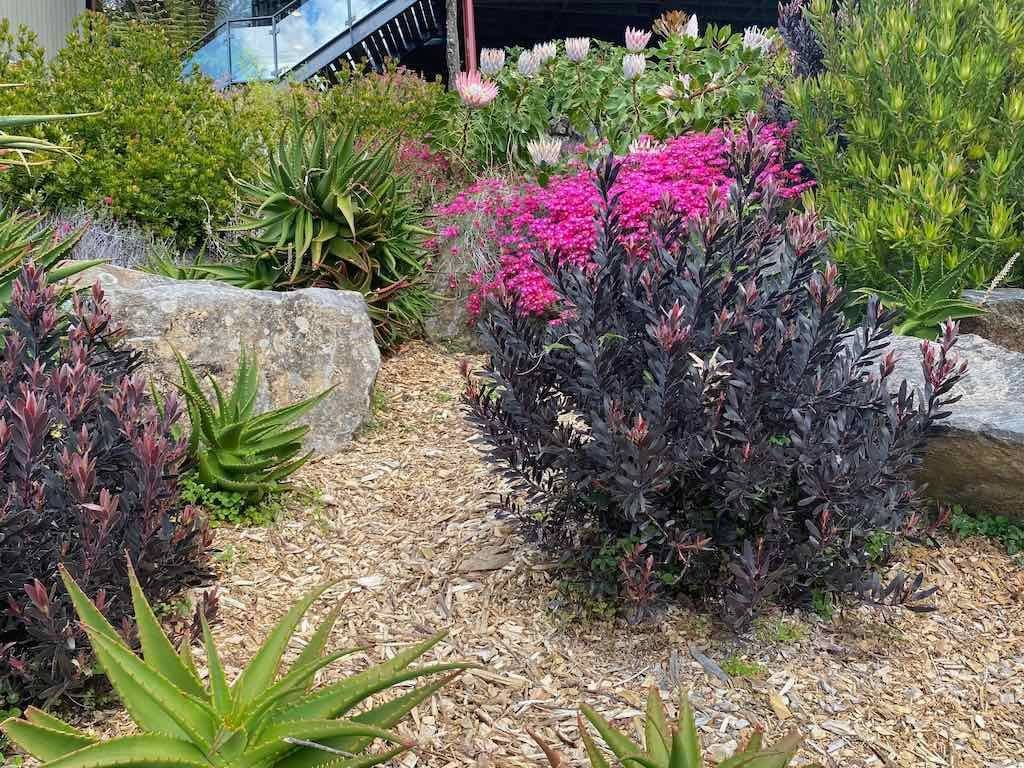 October 2023 Tour Mayfield Gardens / Dubbo Zoo October 2023 Tour Mayfield Gardens / Dubbo Zoo