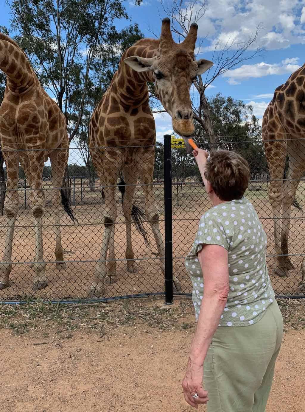 October 2023 Tour Mayfield Gardens / Dubbo Zoo Image -652b6ab795d64