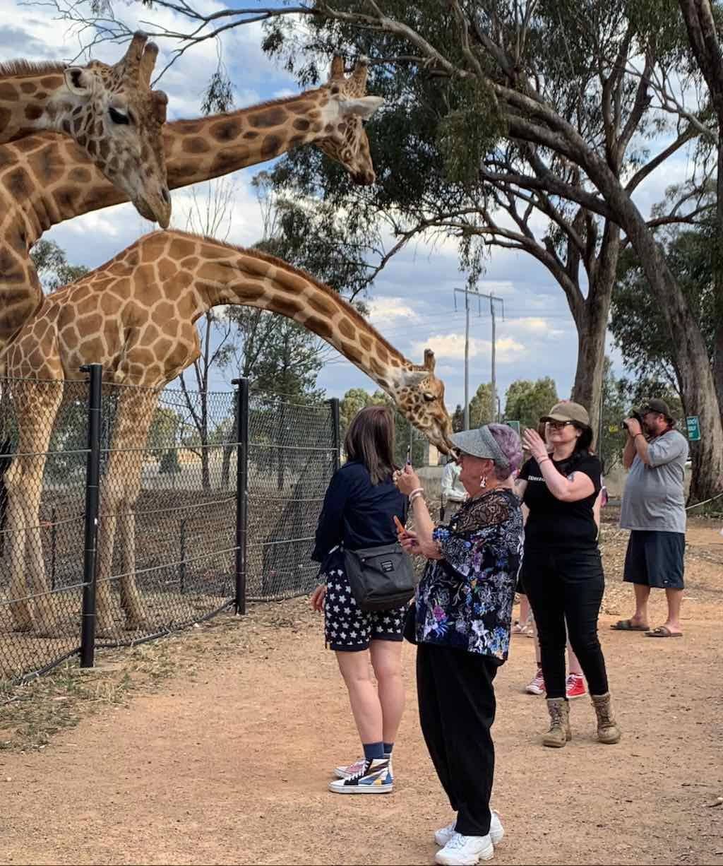 October 2023 Tour Mayfield Gardens / Dubbo Zoo Image -652b6ab89871f