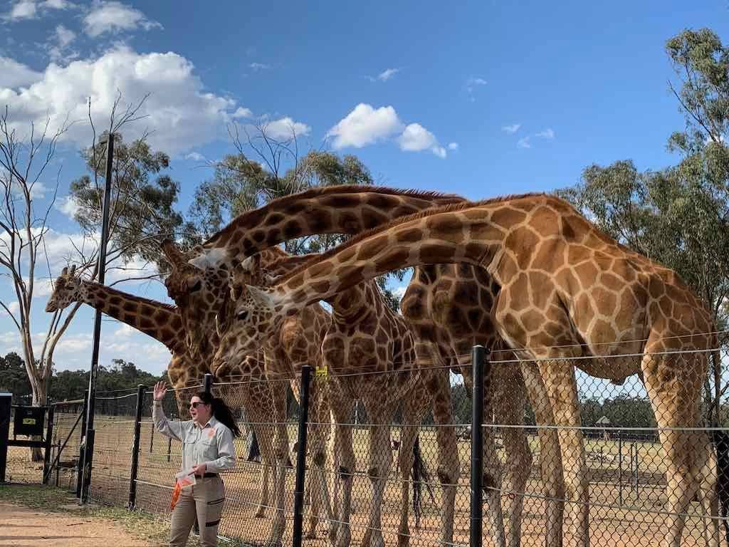 October 2023 Tour Mayfield Gardens / Dubbo Zoo Image -652b6aba2f531