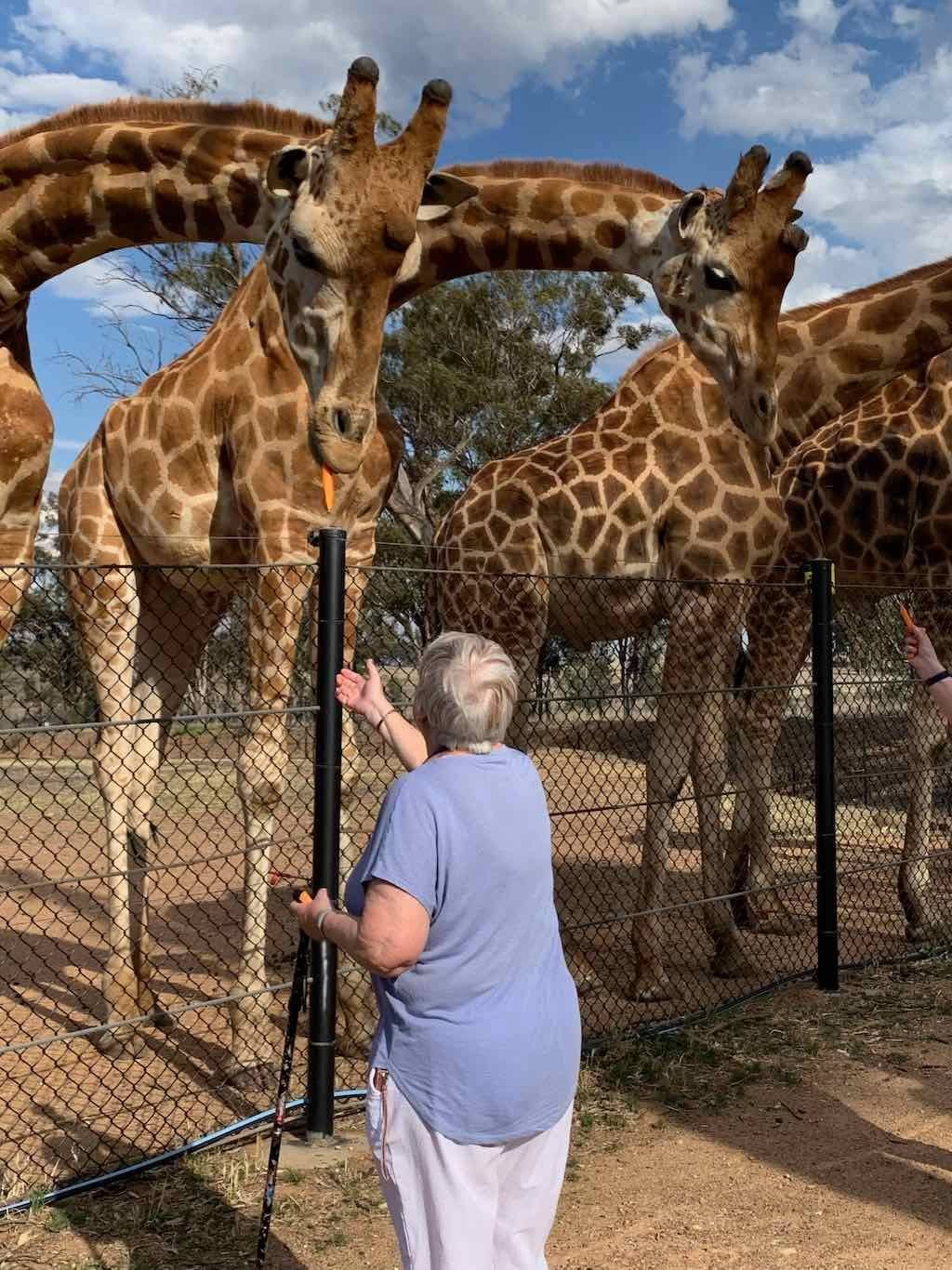 October 2023 Tour Mayfield Gardens / Dubbo Zoo Image -652b6aba6c098