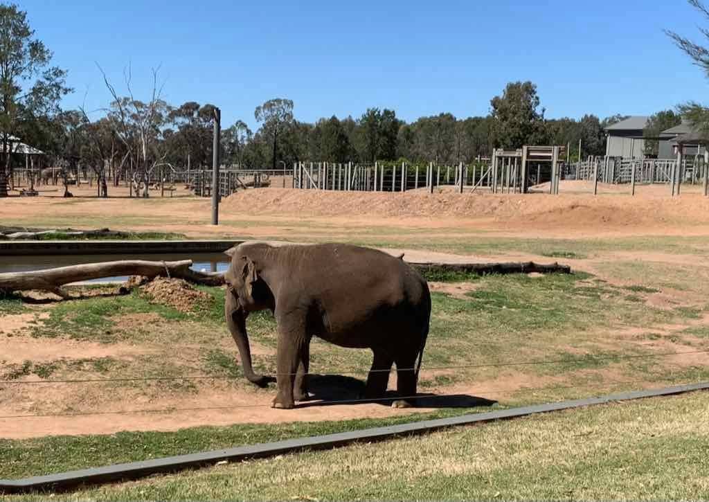 October 2023 Tour Mayfield Gardens / Dubbo Zoo Image -652b6abaa769b