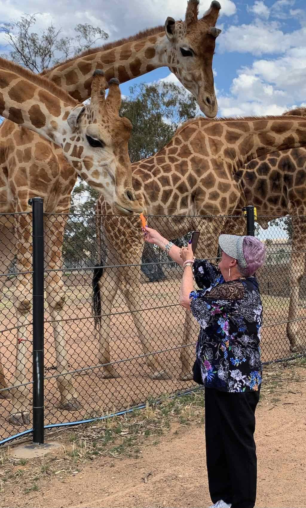 October 2023 Tour Mayfield Gardens / Dubbo Zoo Image -652b6abcac707