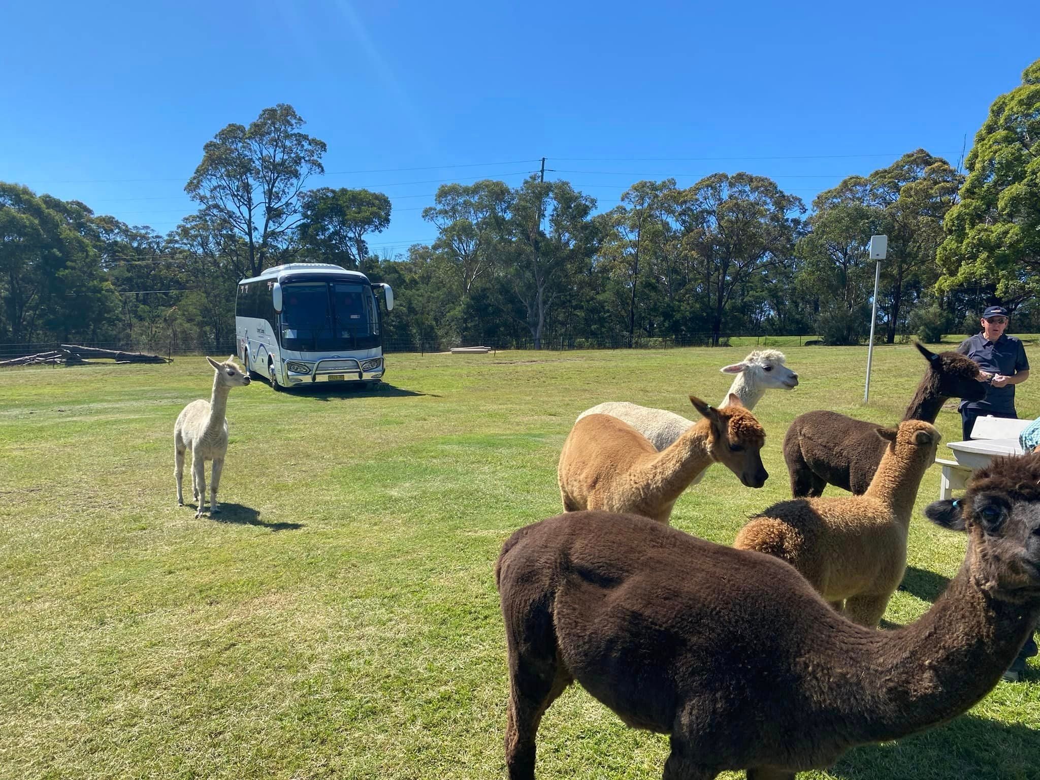 Pine Ridge Miniature Donkey Tour - March 2024 Pine Ridge Miniature Donkey Tour - March 2024