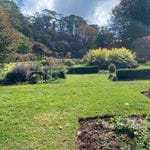 Nooroo Gardens Mount Wilson 18th April 2024 Image -6620f6fc62c7a