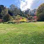 Nooroo Gardens Mount Wilson 18th April 2024 Image -6620f7092a11d