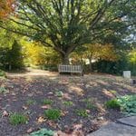 Mayfield Gardens - Wednesday 17th April 2024 Image -66219747ce0a8