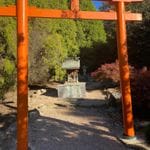 Goryu Japanease Gardens Image -6621a0c22251a