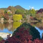 Goryu Japanease Gardens Image -6621a0de14b72