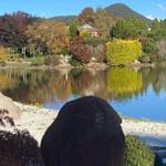 Goryu Japanease Gardens Image -6621a0df2cbfb