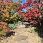 Mayfield Gardens Autumn Garden Tour - April 2024 Image -6621ba0b605f2