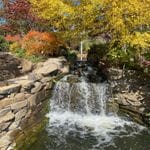 Mayfield Gardens Autumn Garden Tour - April 2024 Image -6621bacd04994