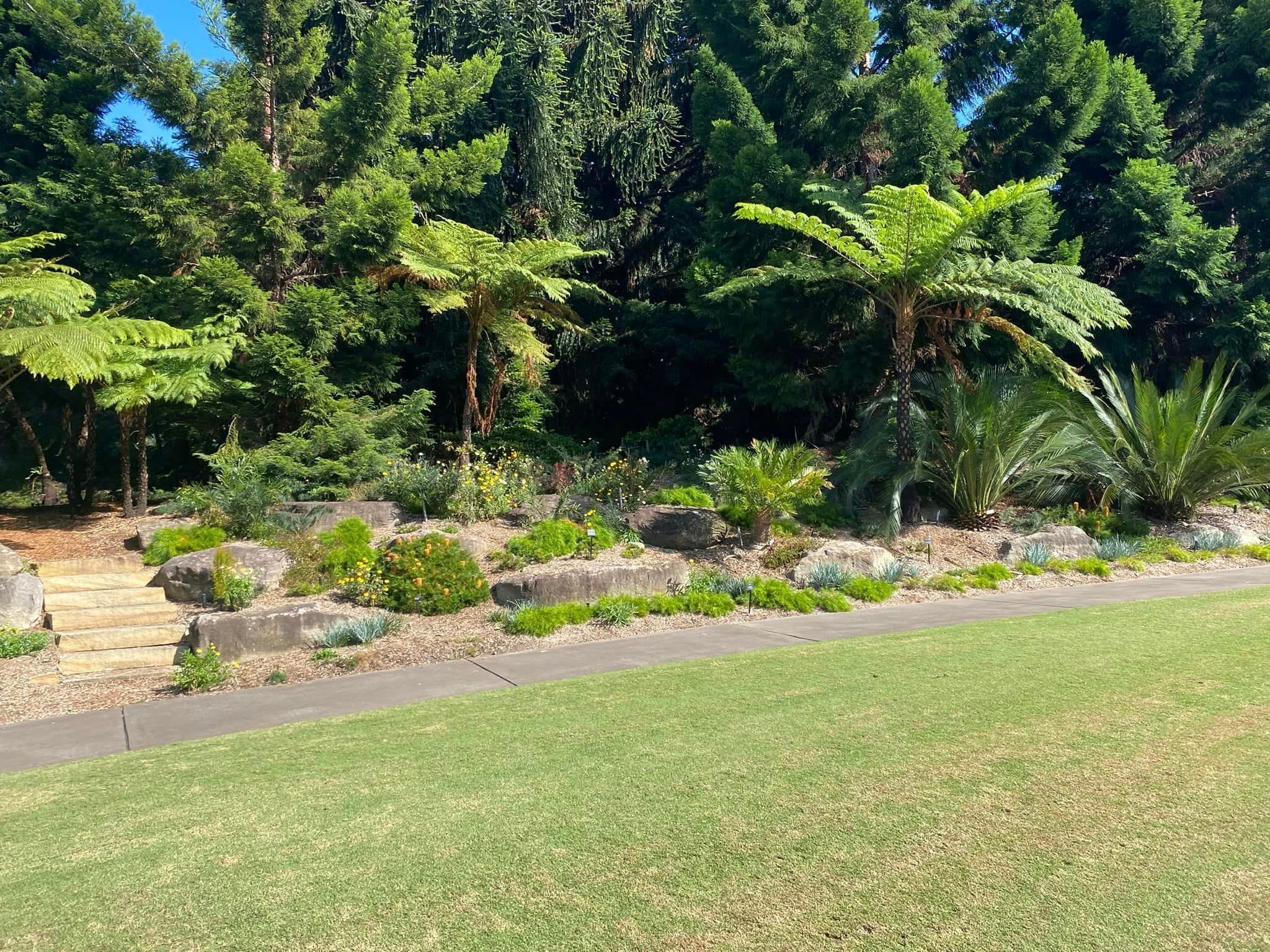 Australian Botanic Gardens Image -663c1dbc86482