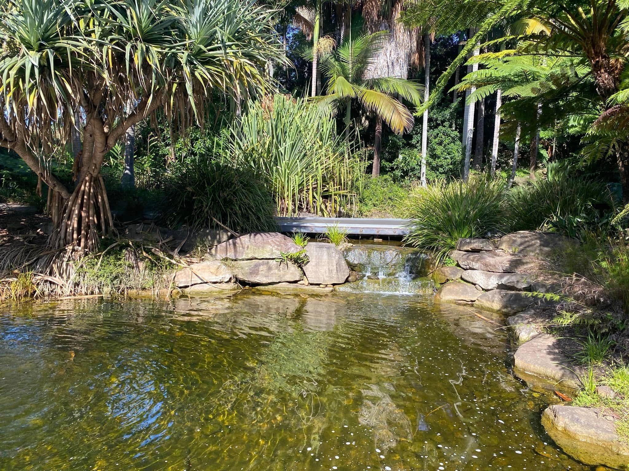 Australian Botanic Gardens Image -663c1dc7659b9
