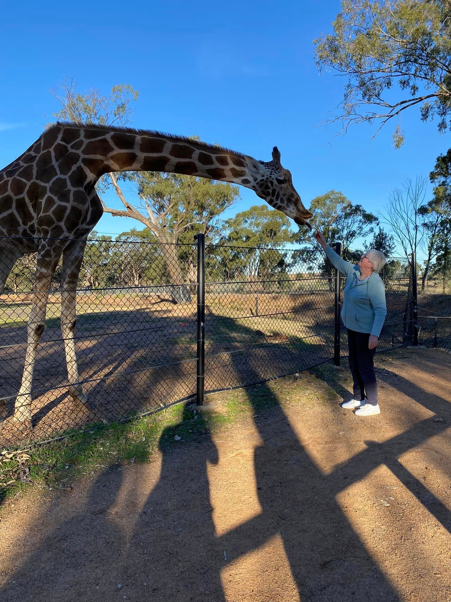 Dubbo Zoo Tour May 2024 Public Tour Dubbo Zoo Tour May 2024 Public Tour