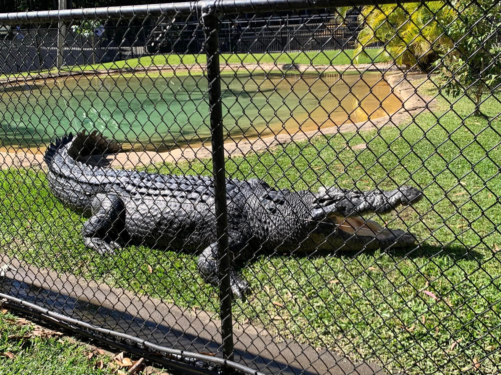 Australia Zoo 2024 Chasing the Sun Tour Image -66b58c1351aaf