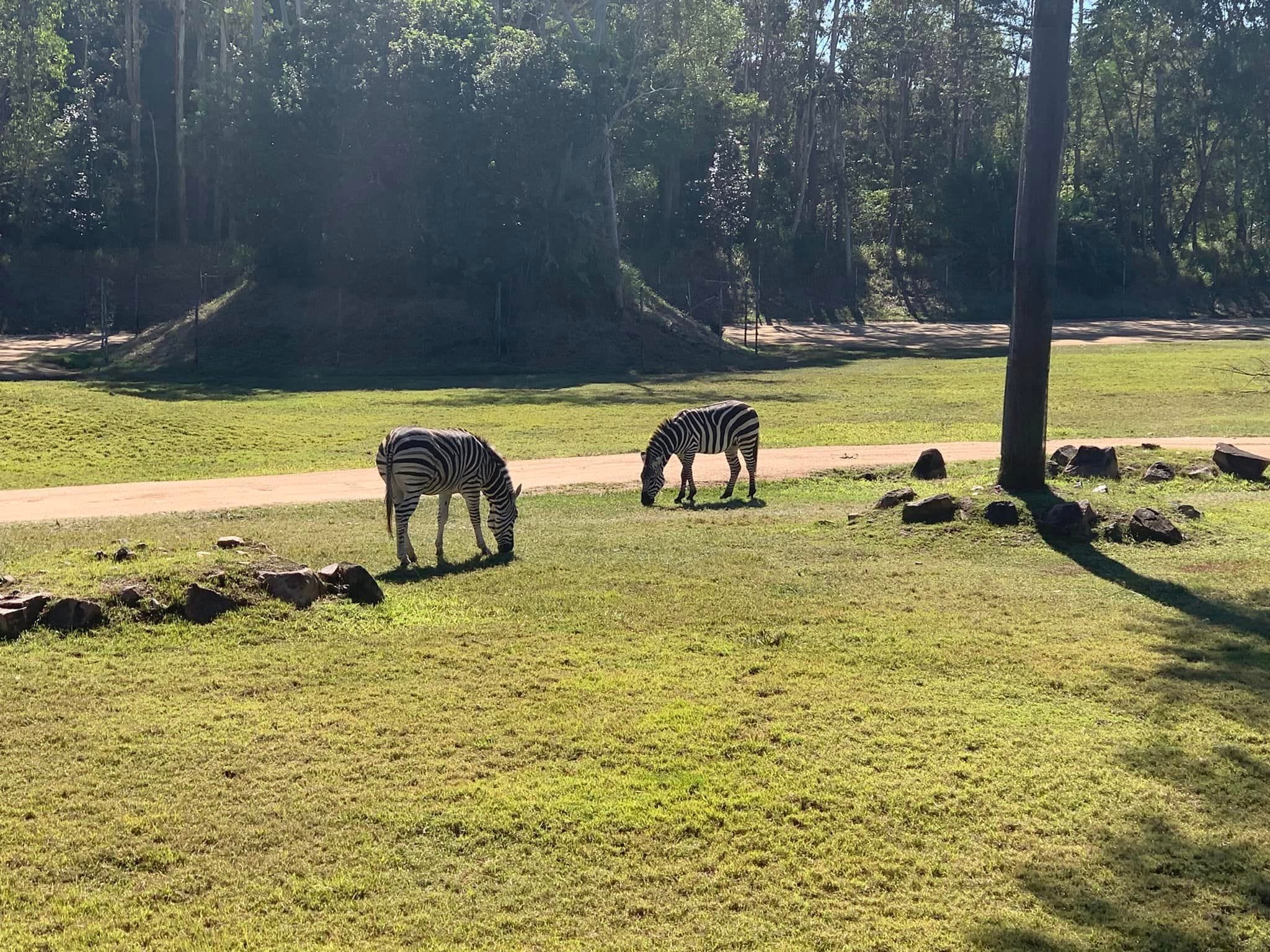 Australia Zoo 2024 Chasing the Sun Tour Image -66b58c16696a7