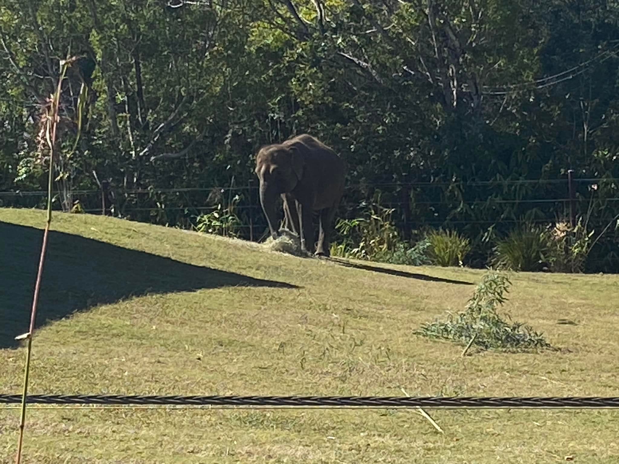 Australia Zoo 2024 Chasing the Sun Tour Image -66b58ca8c0950