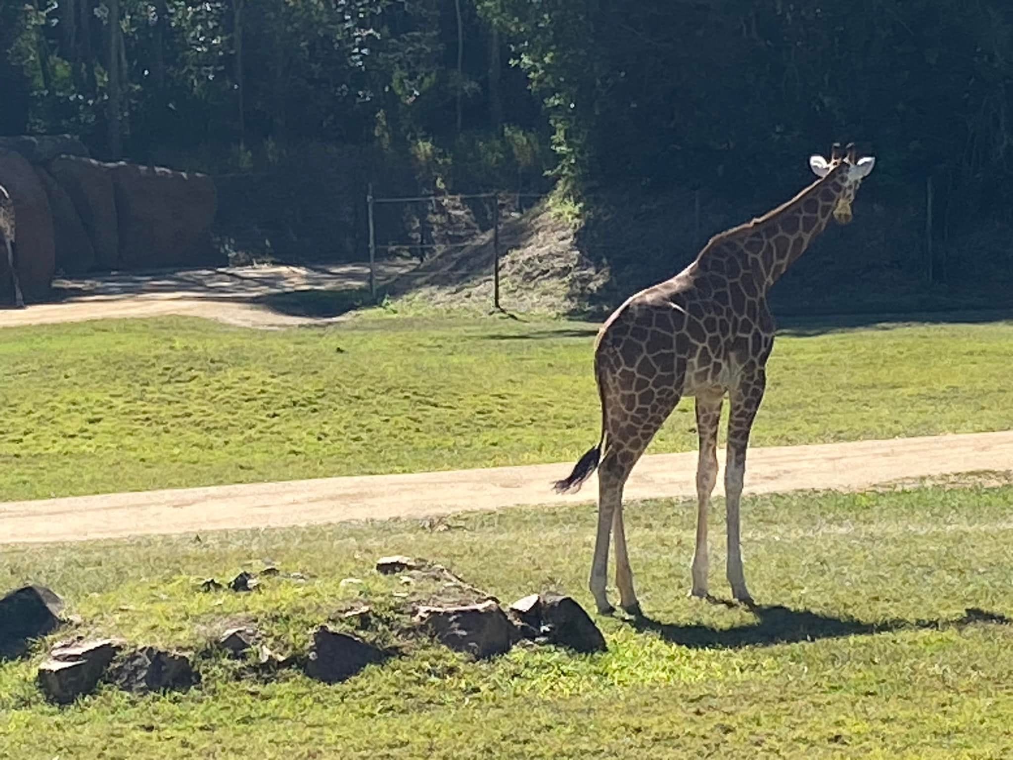 Australia Zoo 2024 Chasing the Sun Tour Image -66b58cb6ccddb