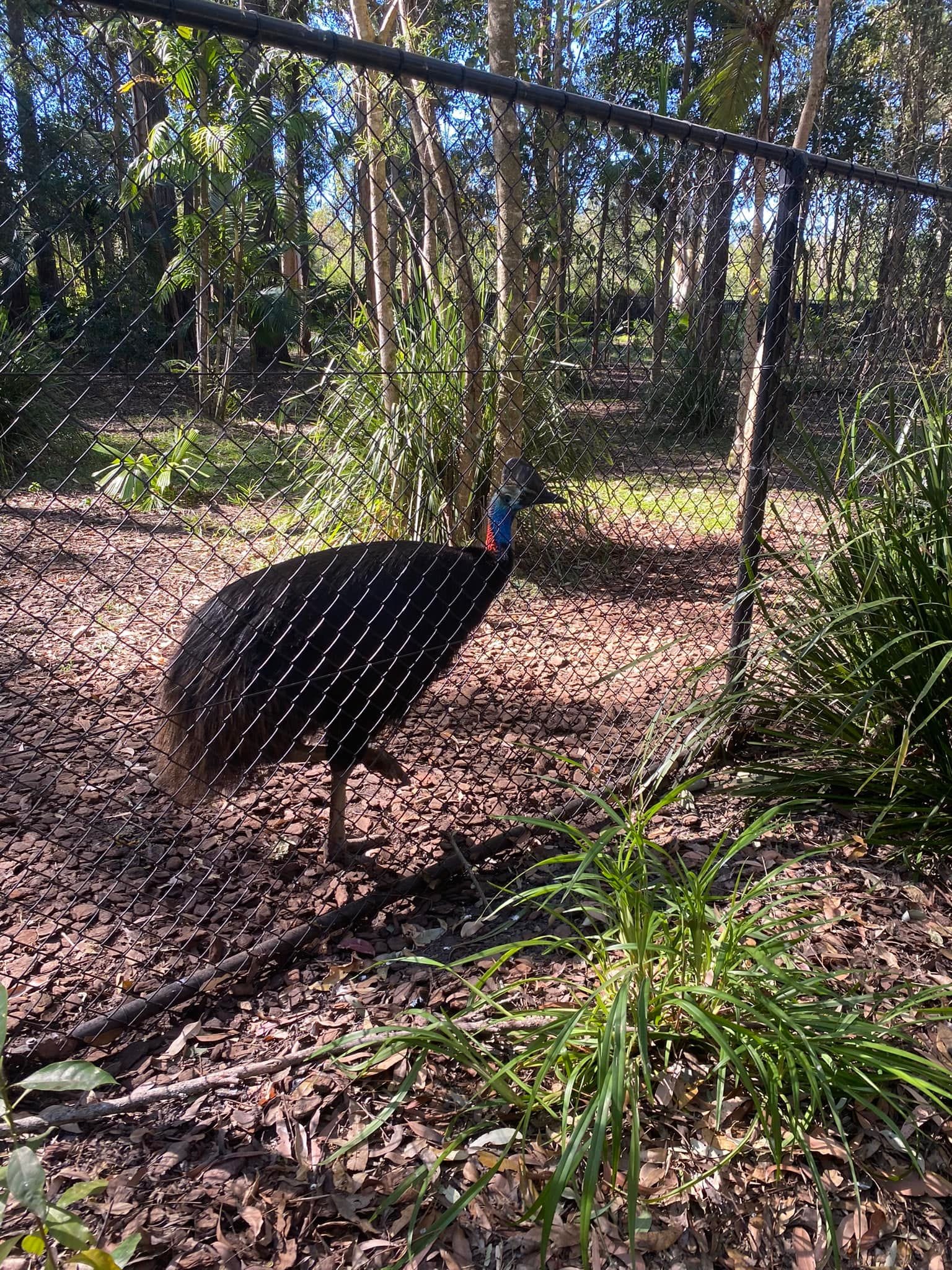 Australia Zoo 2024 Chasing the Sun Tour Image -66b58cb9c0488