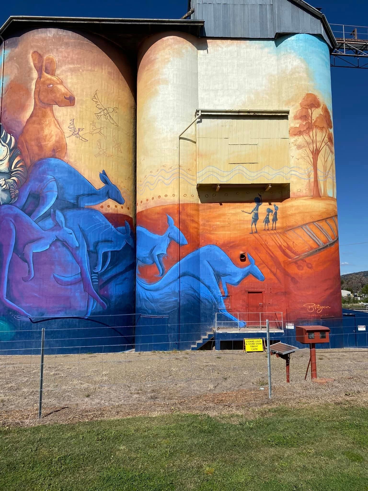 Quirindi Silo Art Image -66f51fd5c6f00