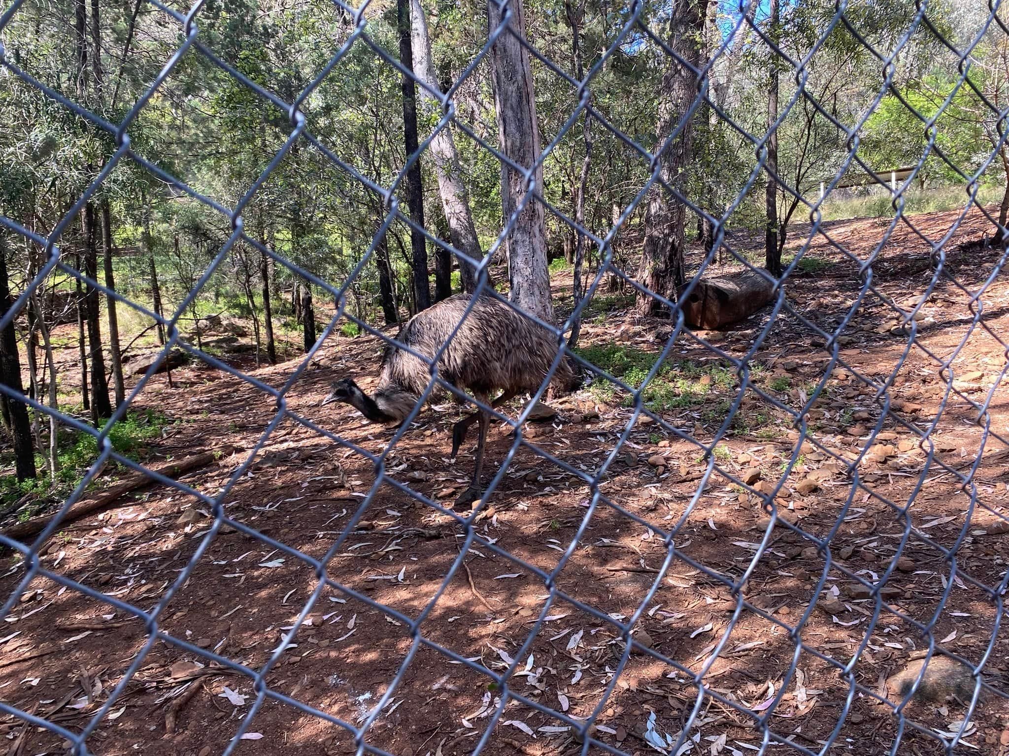 Mount Oxley Lookout & Marsupial Park Image -66f52ace64d72