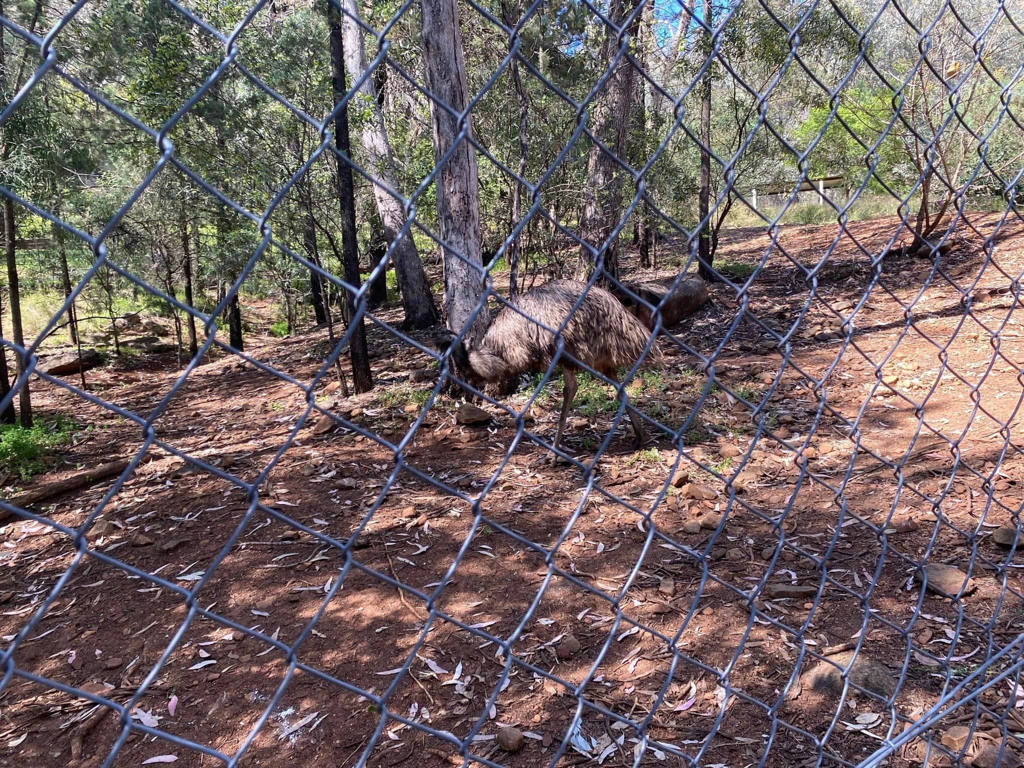 Mount Oxley Lookout & Marsupial Park Image -66f52acfaa537