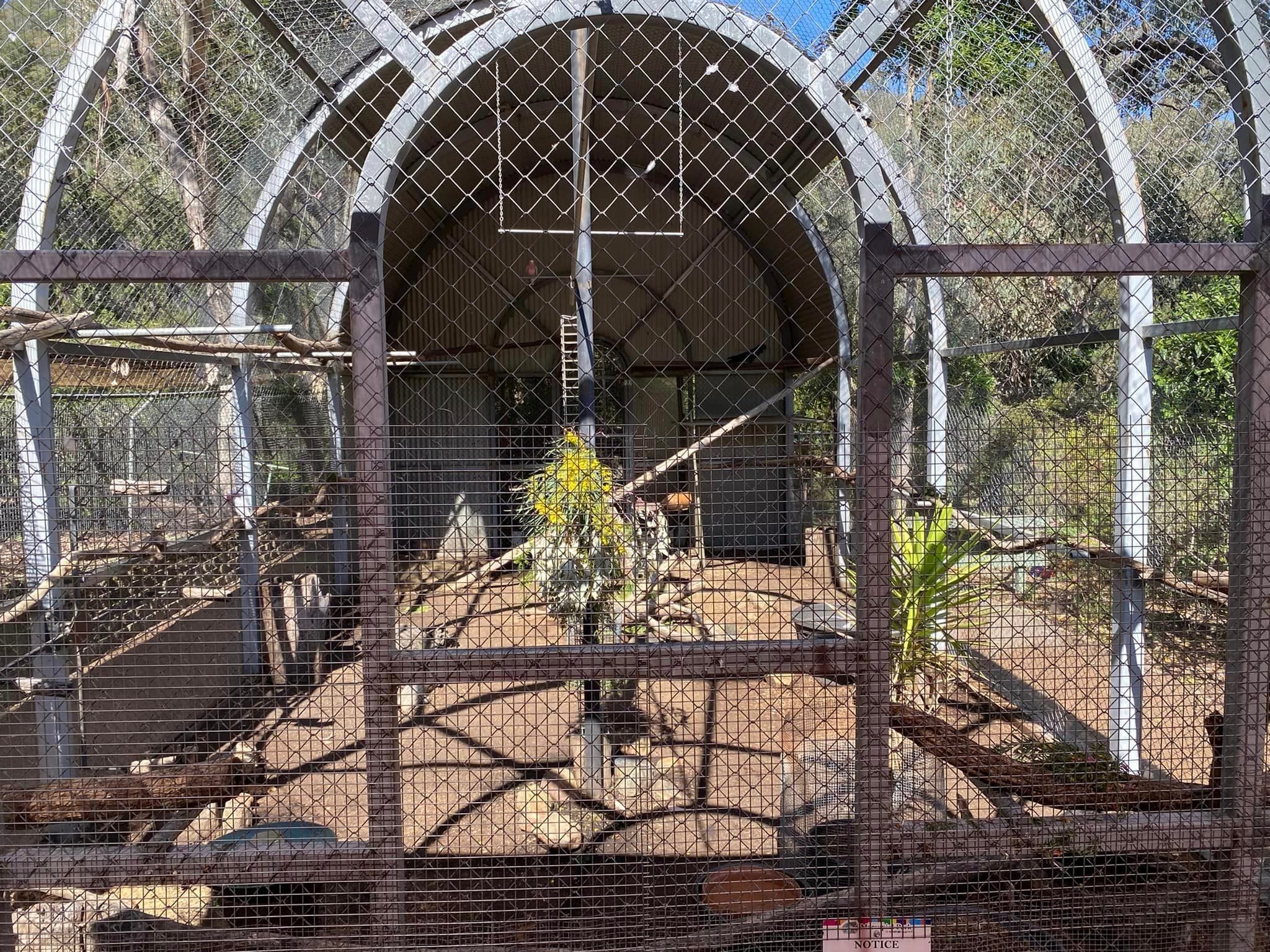 Mount Oxley Lookout & Marsupial Park Image -66f52ad378589