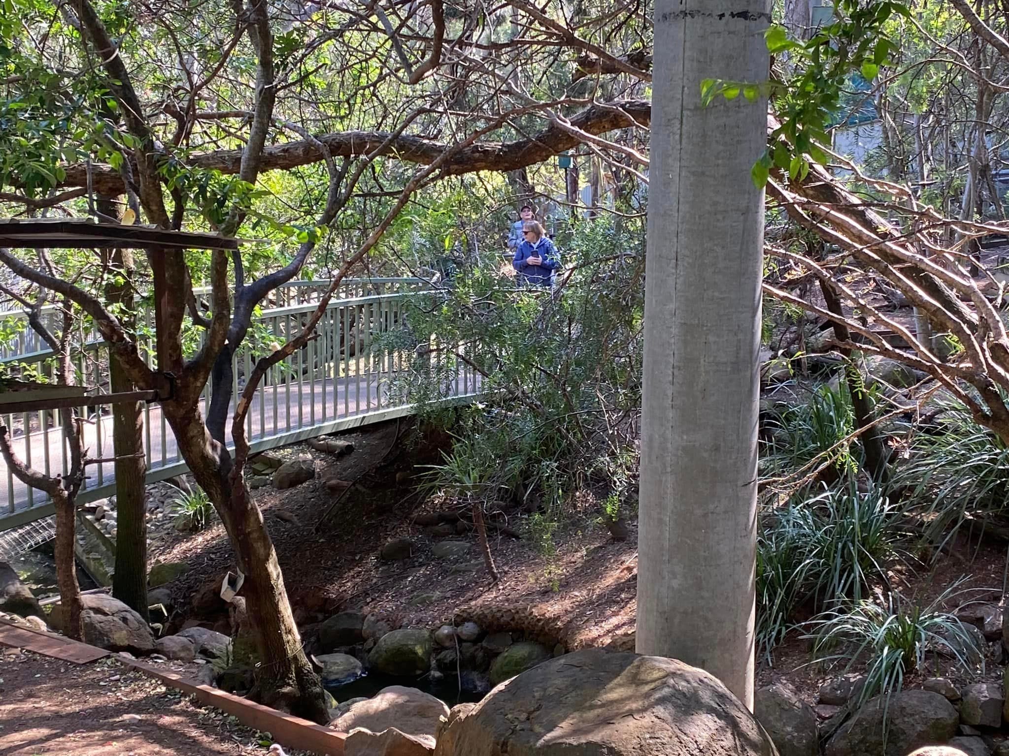 Mount Oxley Lookout & Marsupial Park Image -66f52ad4f24a9