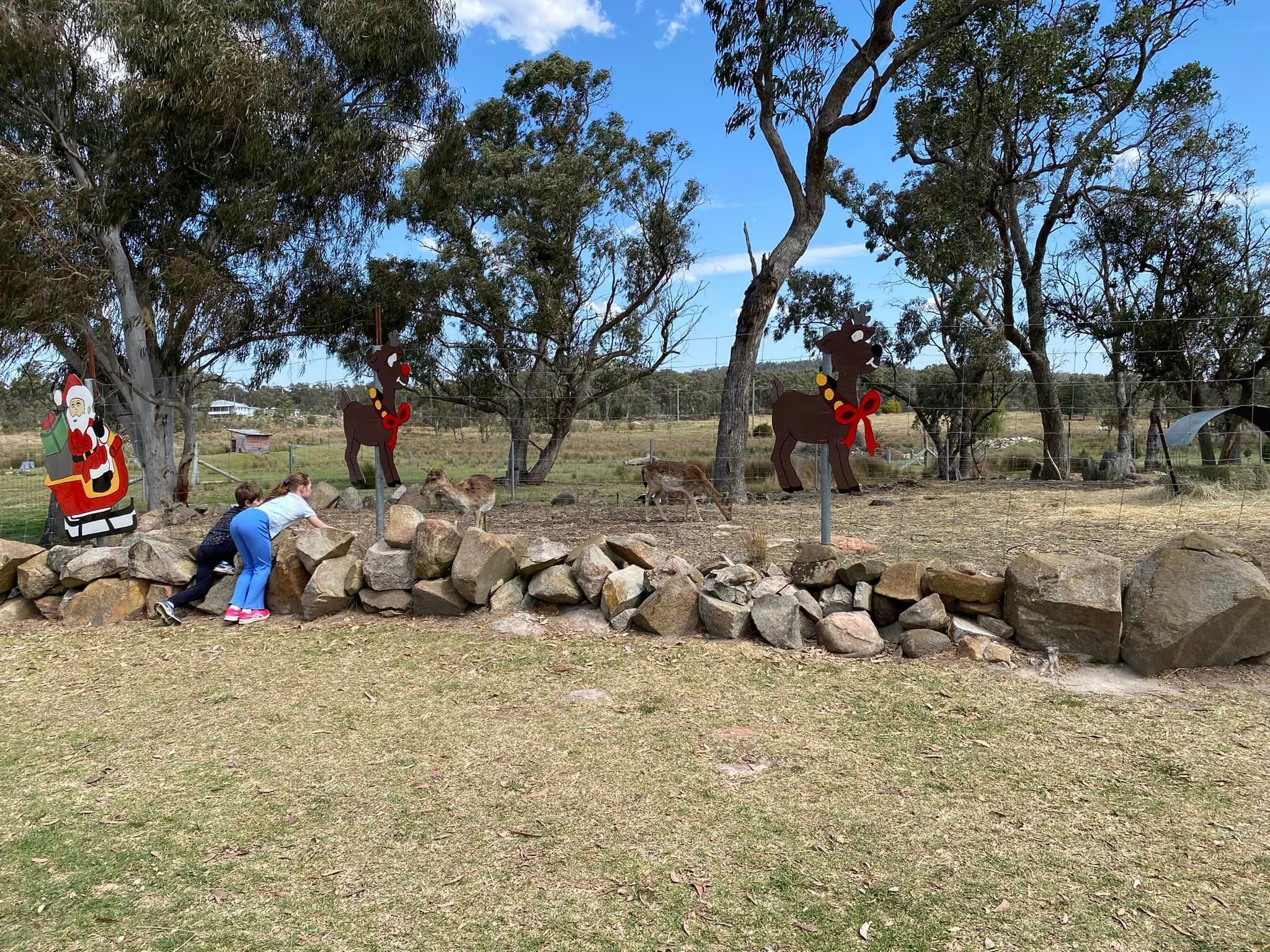 Stanthorpe 2024 Toowoomba Garden Festival Tour Image -66ff07d9df34d