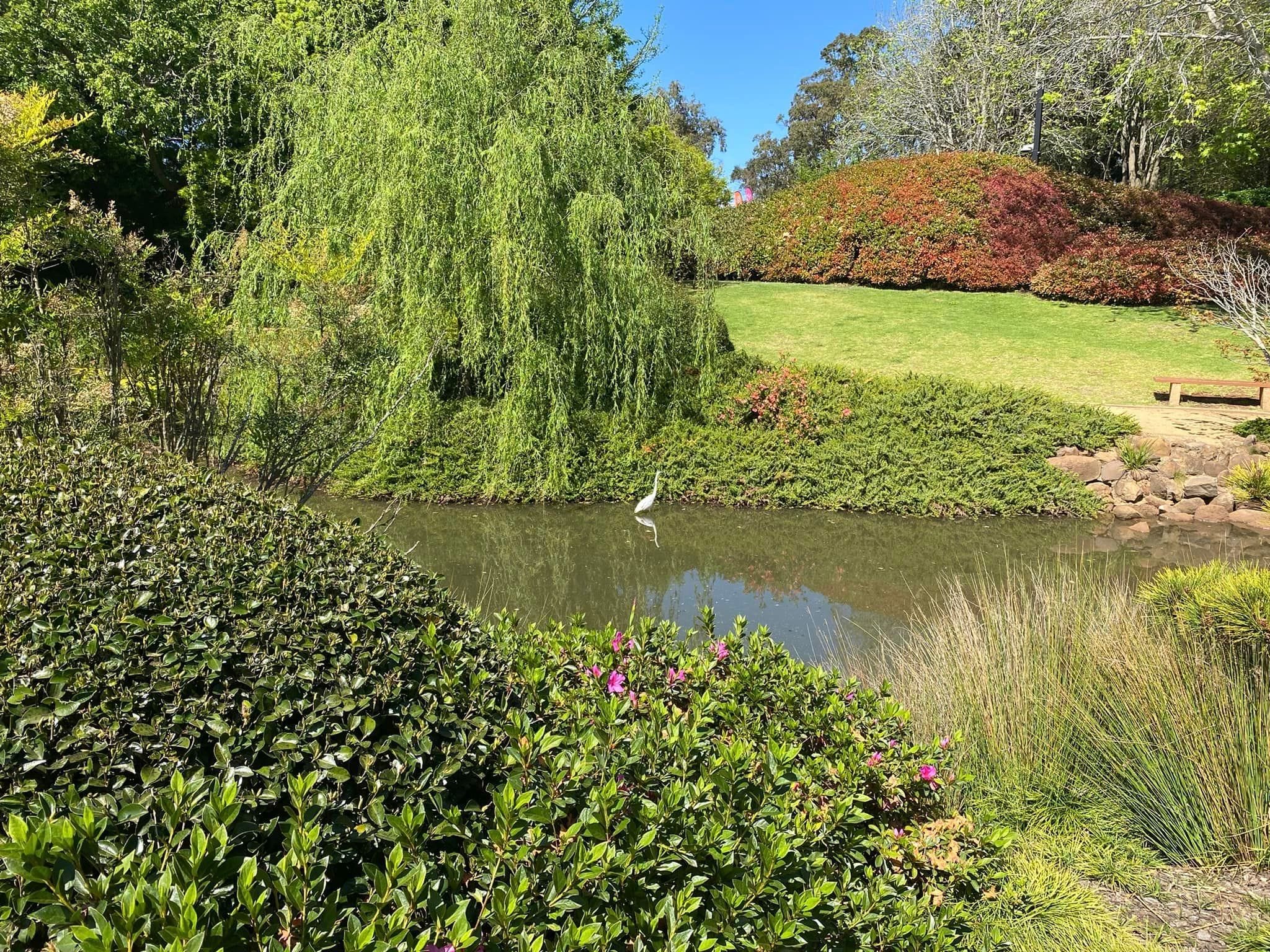 Japanese Gardens Toowoomba Image -66ff0e6260239