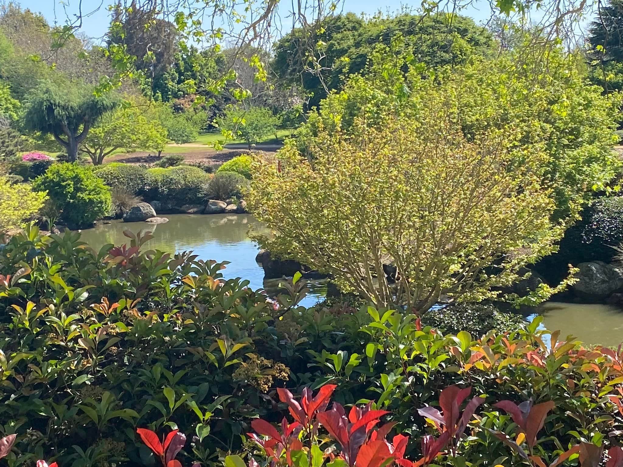 Japanese Gardens Toowoomba Image -66ff0e63060b0