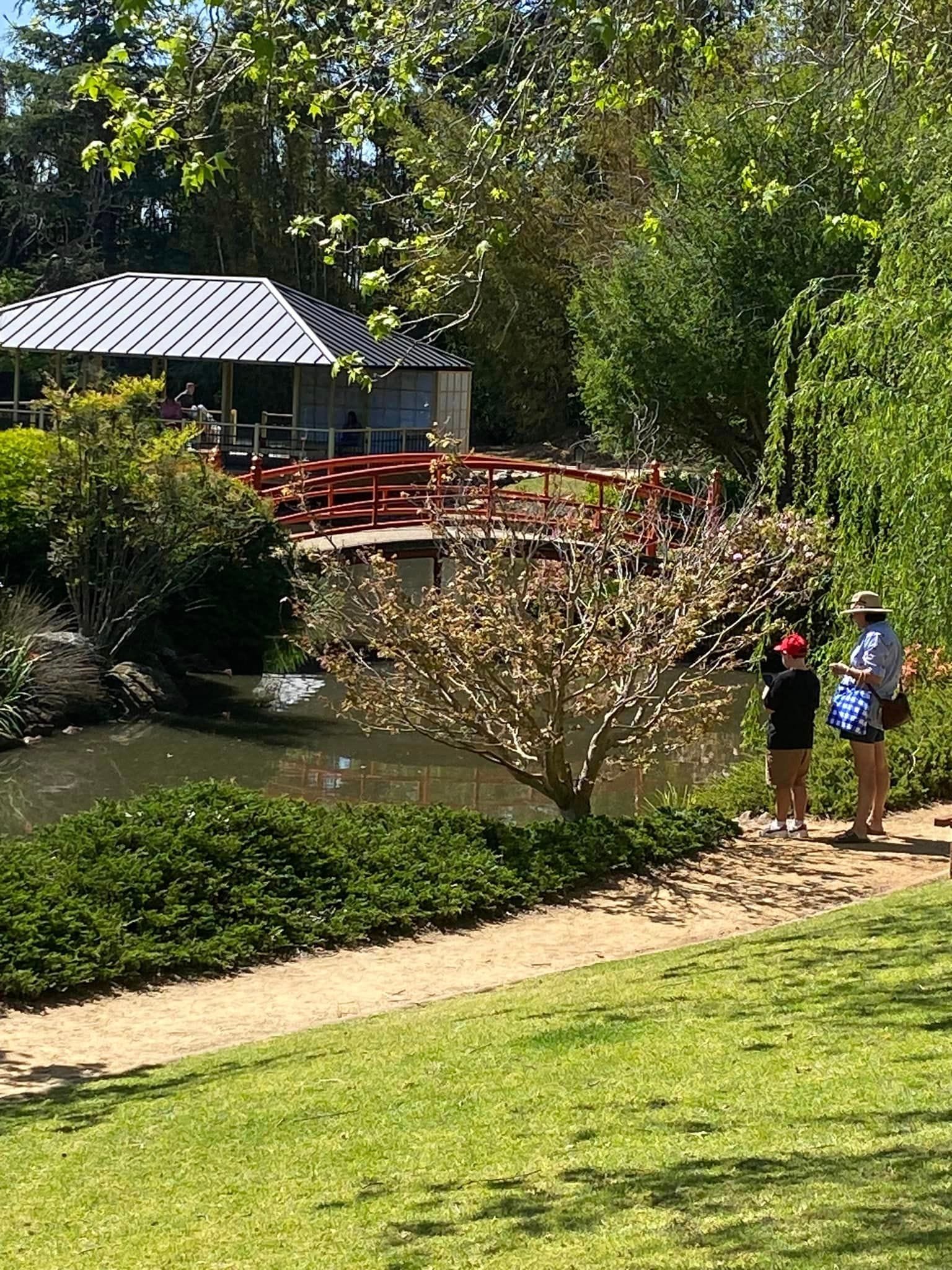 Japanese Gardens Toowoomba Image -66ff0e6534b6e