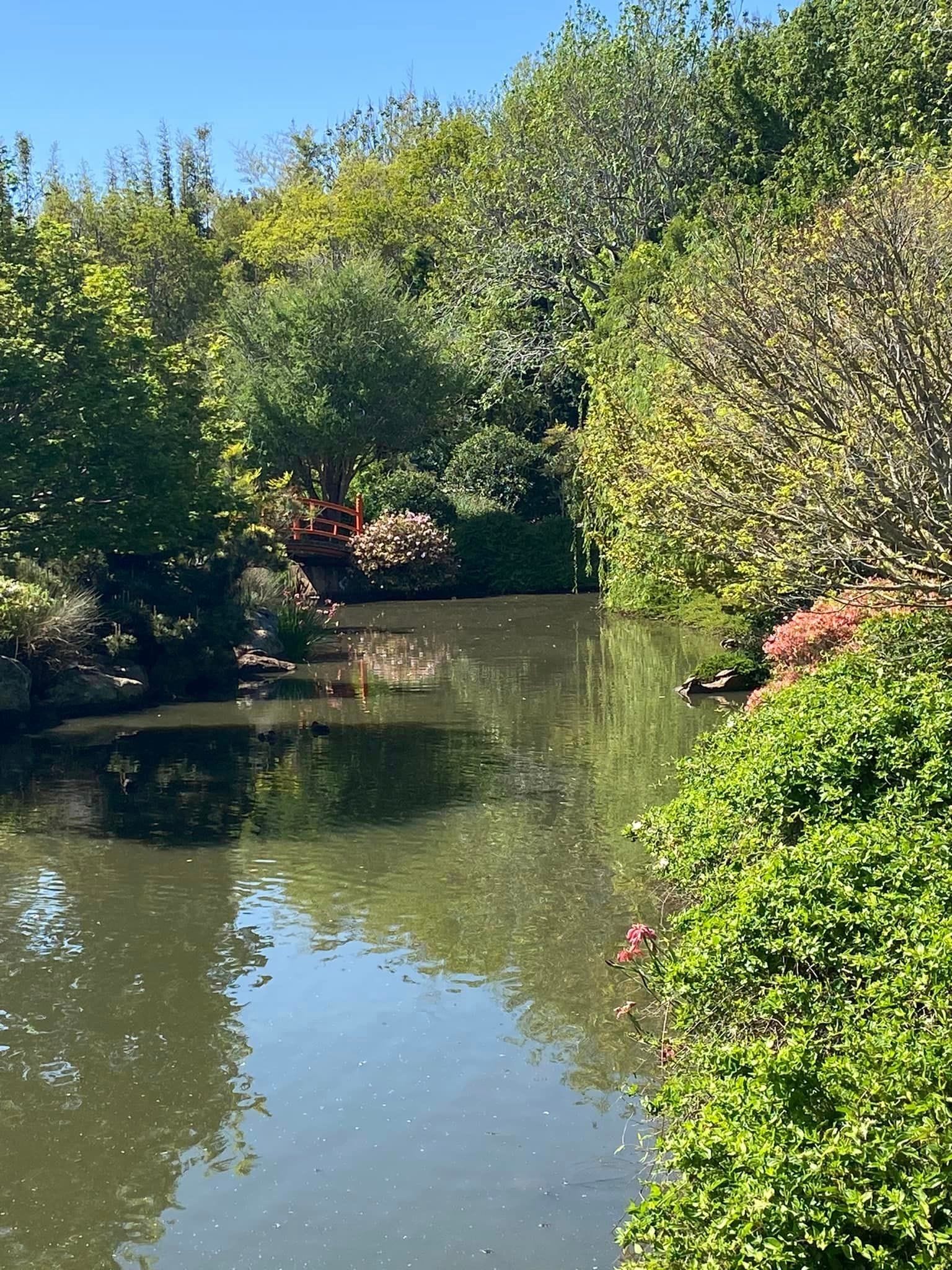 Japanese Gardens Toowoomba Image -66ff0e692765f