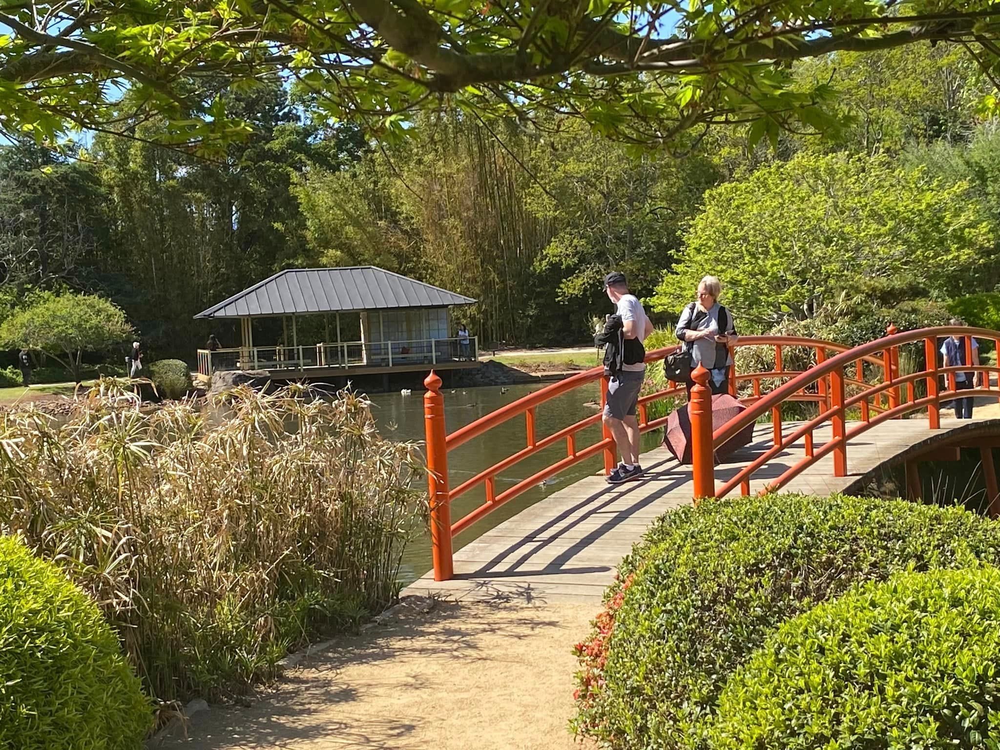 Japanese Gardens Toowoomba Image -66ff0e6acf7a7