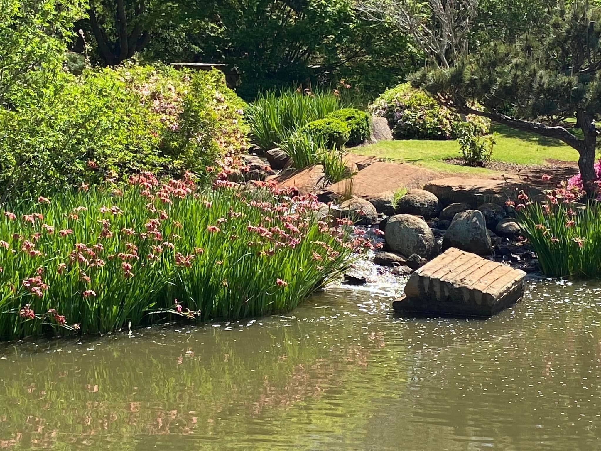 Japanese Gardens Toowoomba Image -66ff0e6b63908