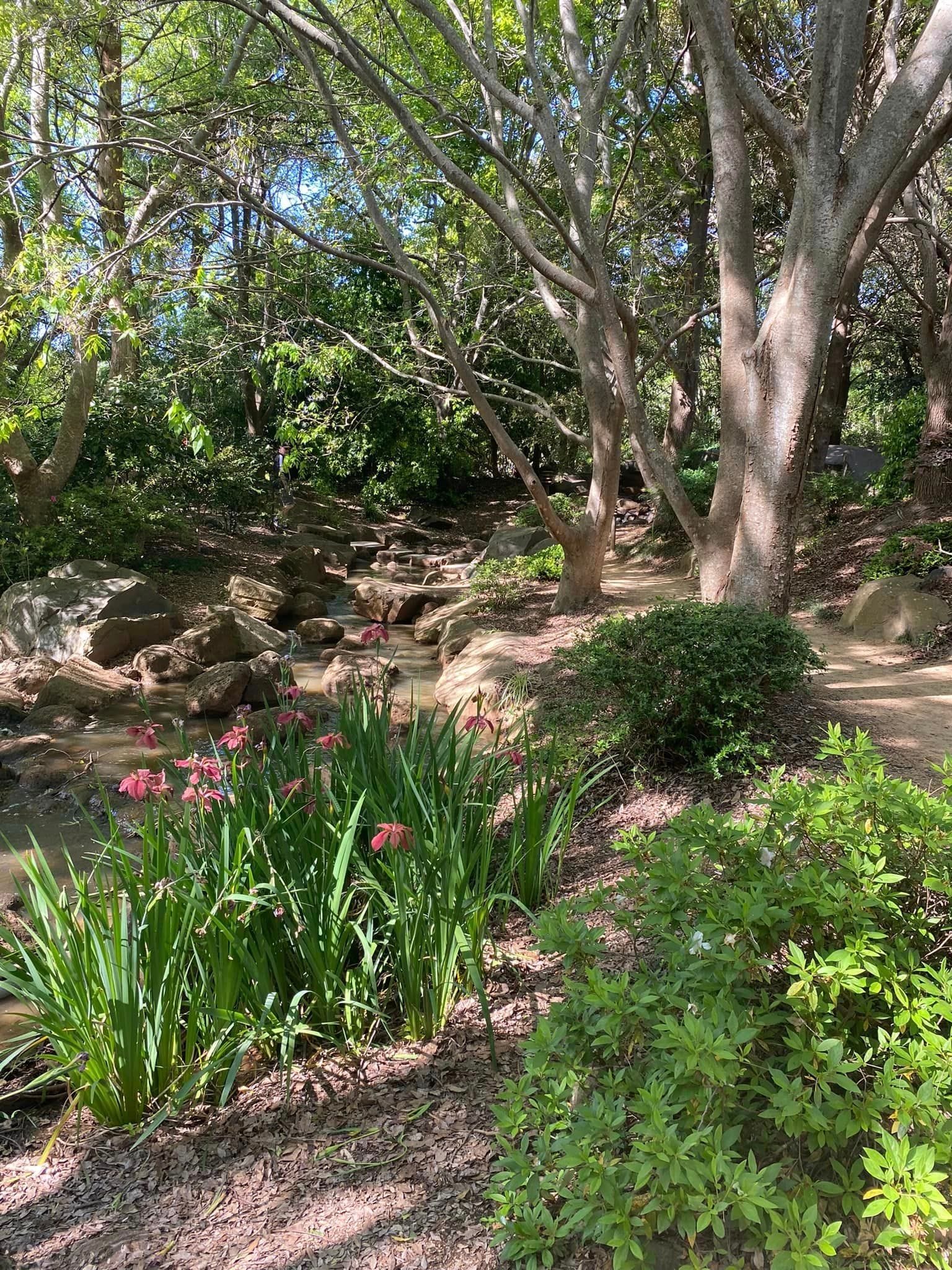 Japanese Gardens Toowoomba Image -66ff0e71ae6a0