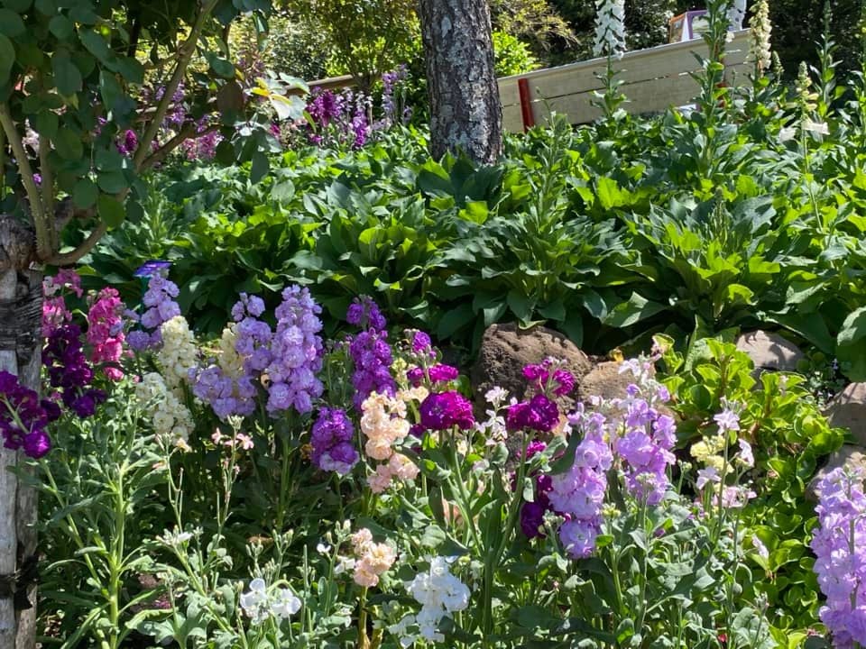 Spring Bluff Station Gardens Spring Bluff Station Gardens