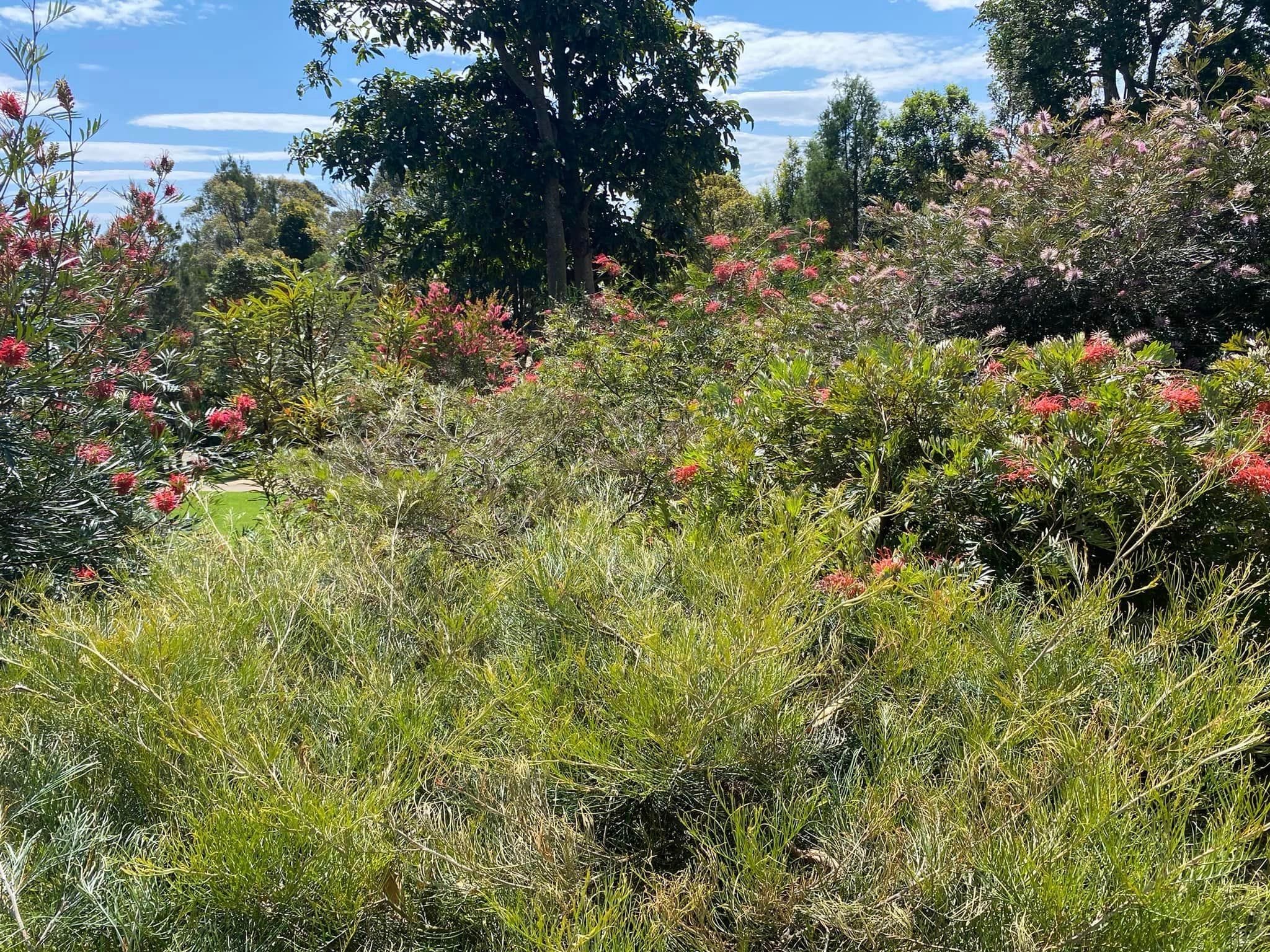 Red Gables Private Garden - Toowoomba Garden Festival 2024 Image -66ff1abc2cef6