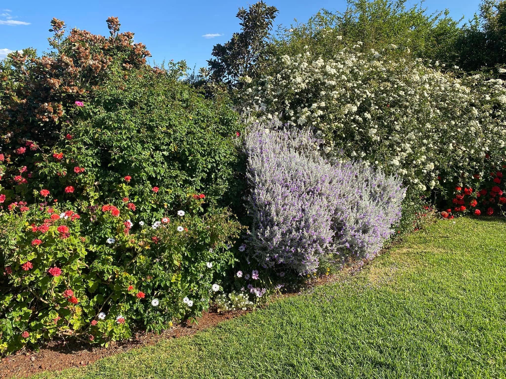 Rod & Jill's private gardens - Toowoomba Garden Festival 2024 Image -66ff24a494369