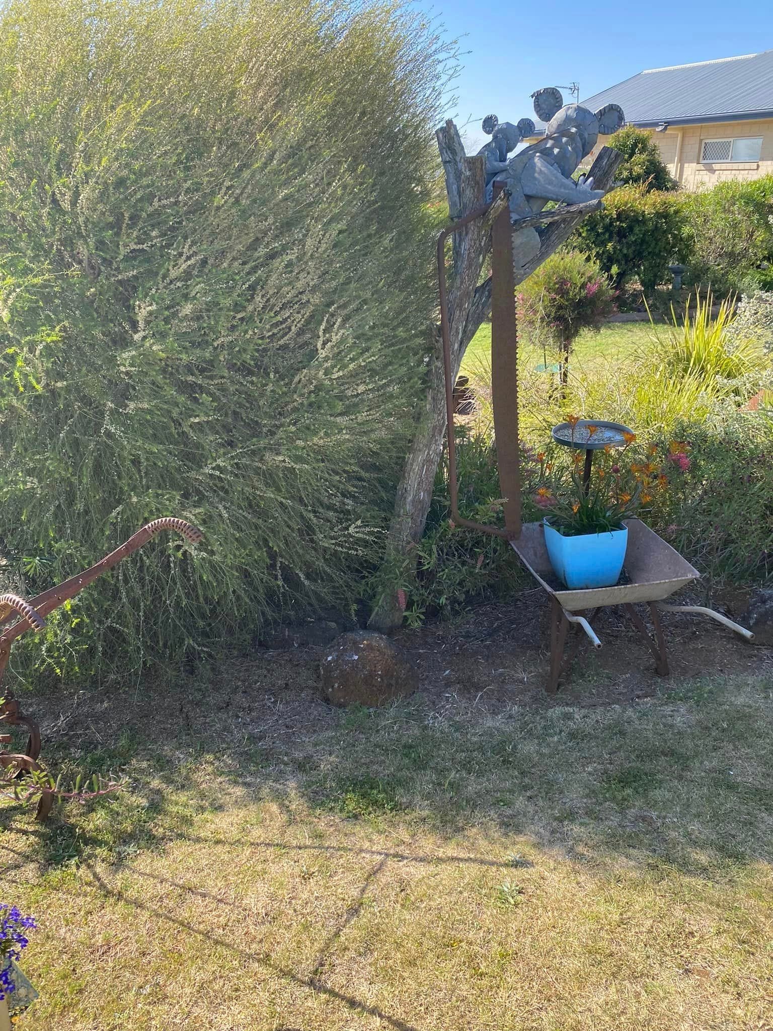 Adrian and Gail's Private Garden - Toowoomba Garden Festival 2024 Image -66ff52139794c